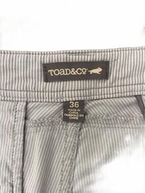Toad&Co Organic Cotton Light Gray Pinstripe Flat Front Shorts | Men’s Size 36